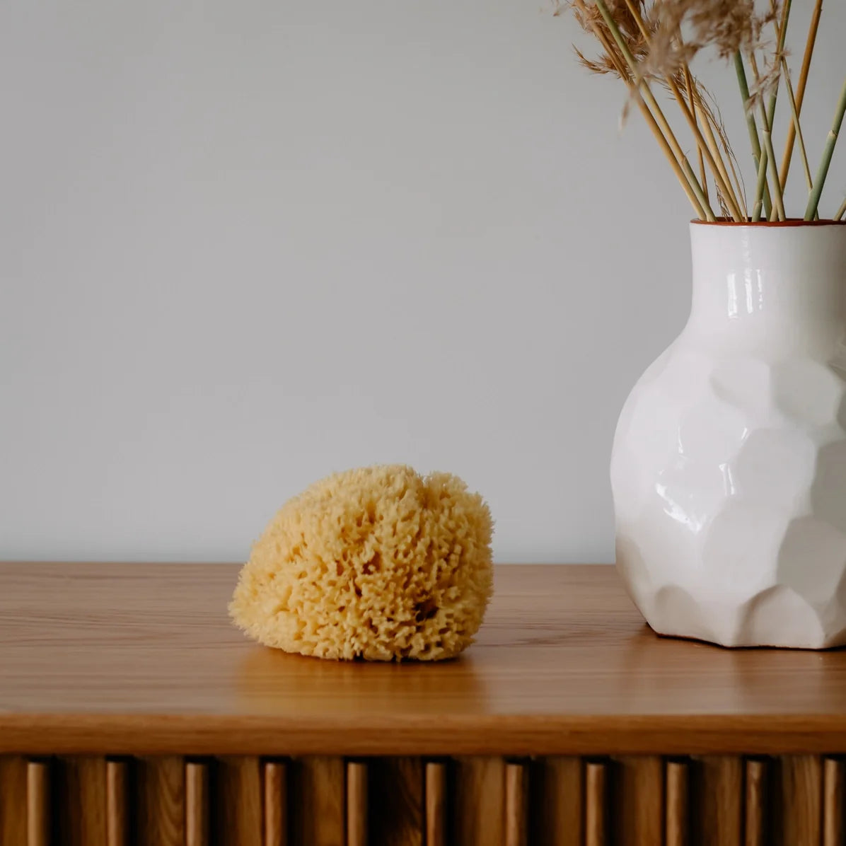 Natural Sea Sponge for Bath & Shower