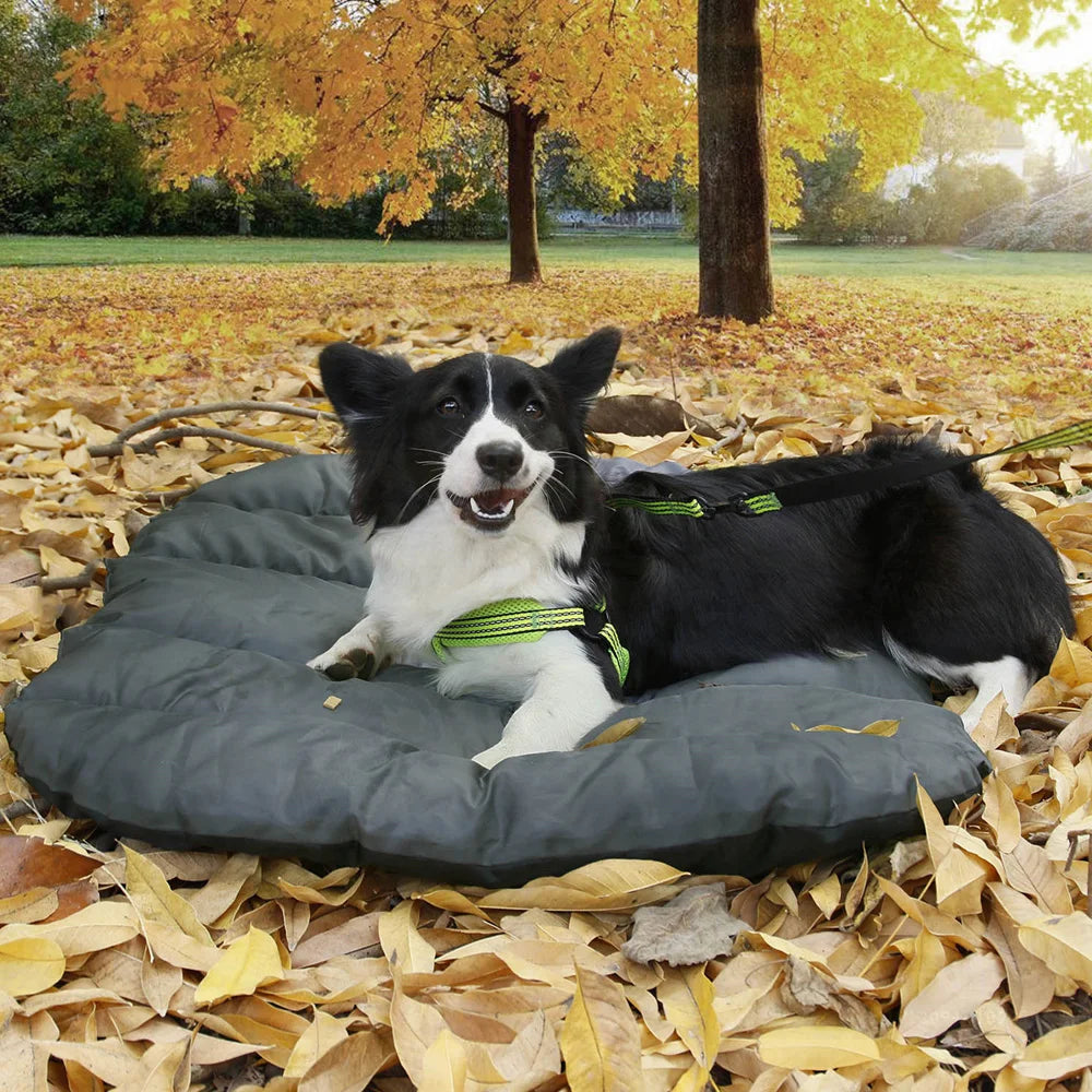 Waterproof Travel Mat for Dogs
