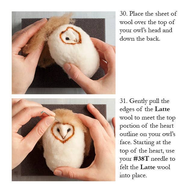 Barn Owl Needle Felting Kit - Intermediate - Made in USA