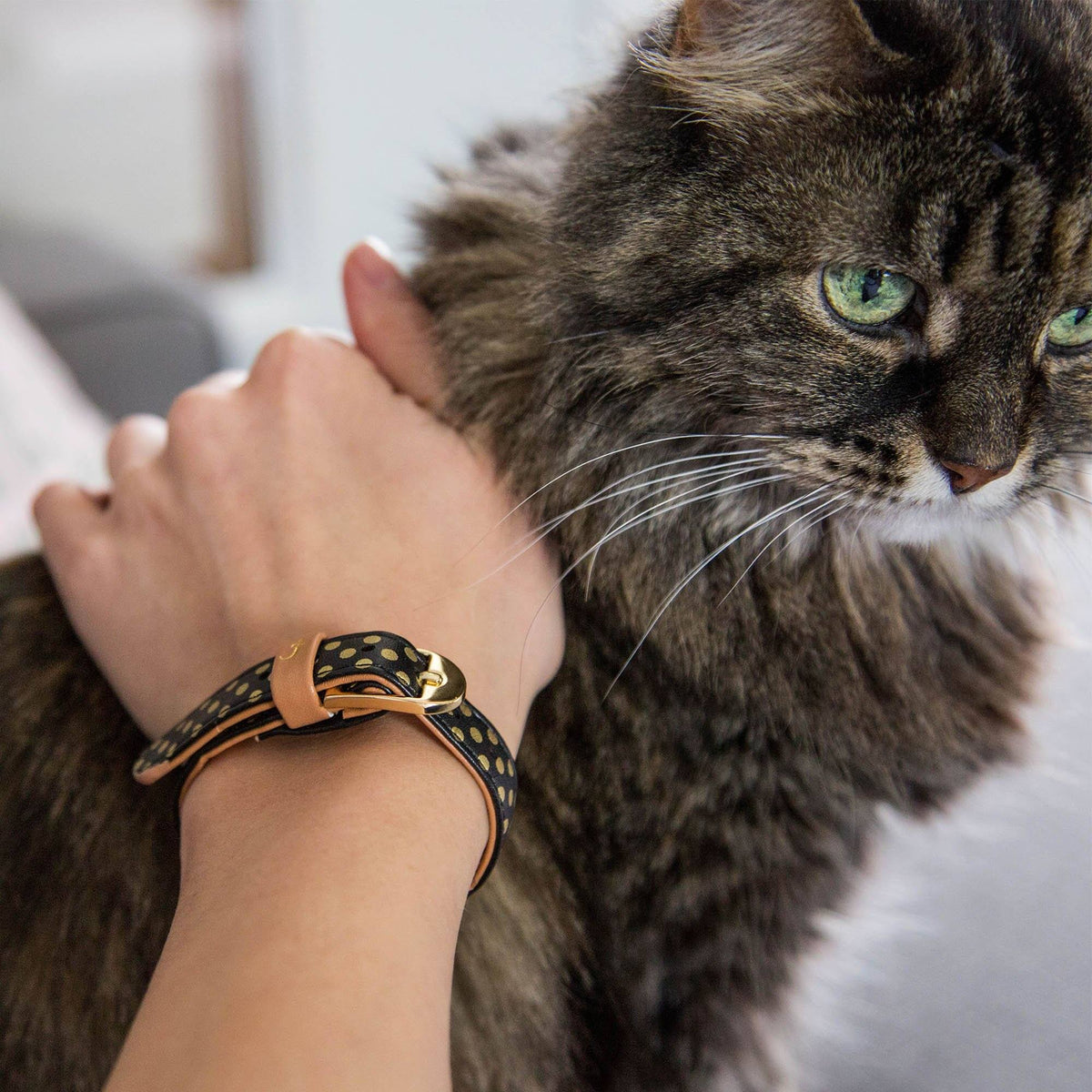 Cat collar & Human Bracelet Matching Set