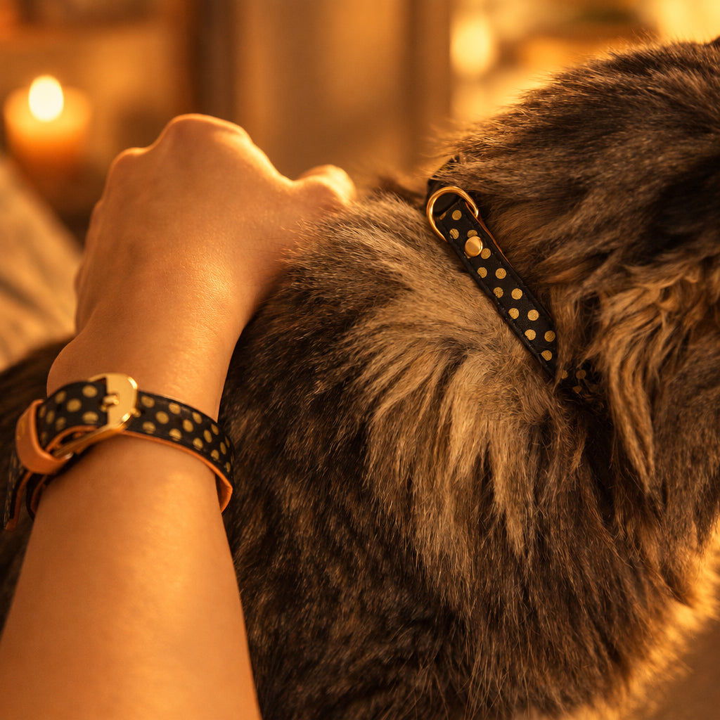 Cat collar & Human Bracelet Matching Set
