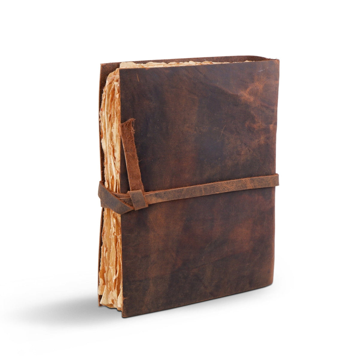 The Sapling Tree of Life Leather Journal