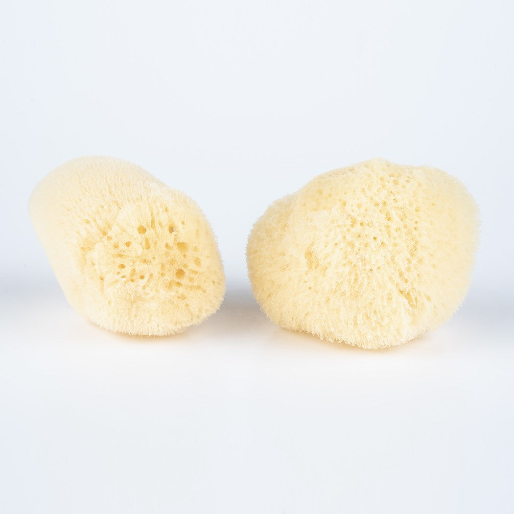 Natural Sea Sponge for Bath & Shower