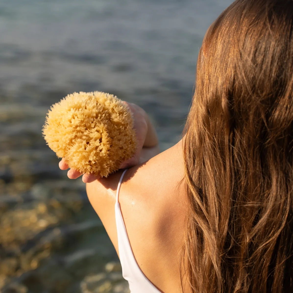 Natural Sea Sponge for Bath & Shower