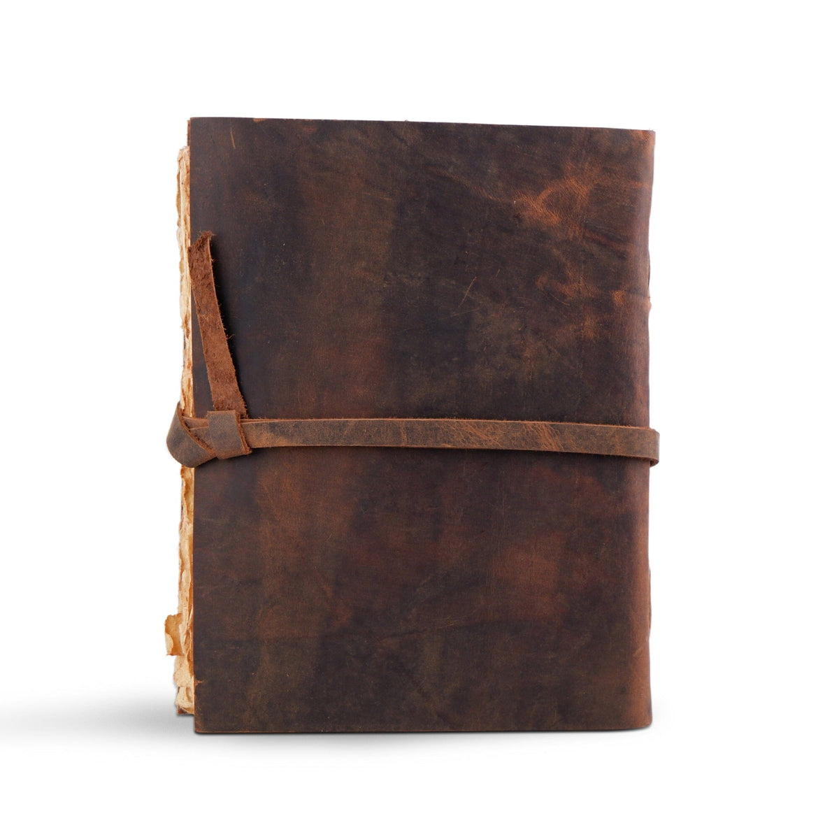 The Sapling Tree of Life Leather Journal