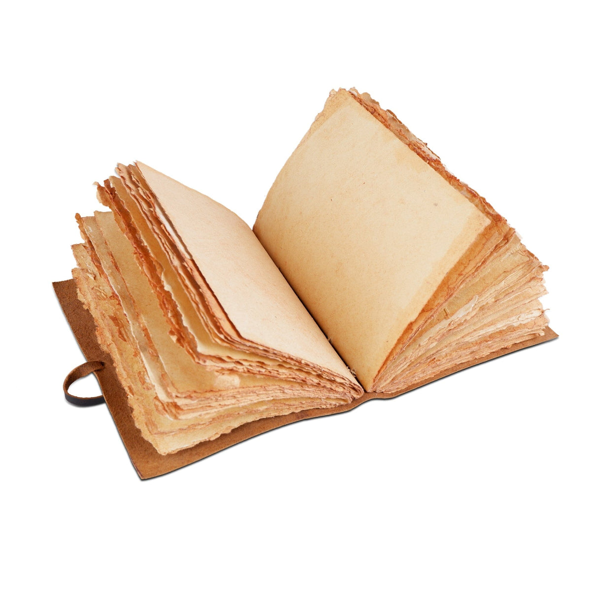 The Sapling Tree of Life Leather Journal