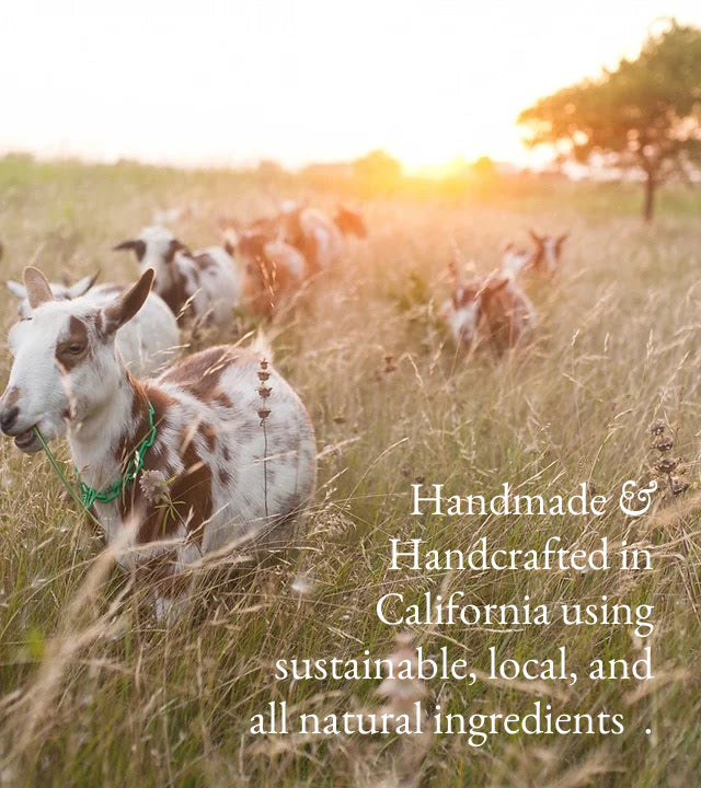 Eucalyptus Goat Milk Hand & Body Lotion