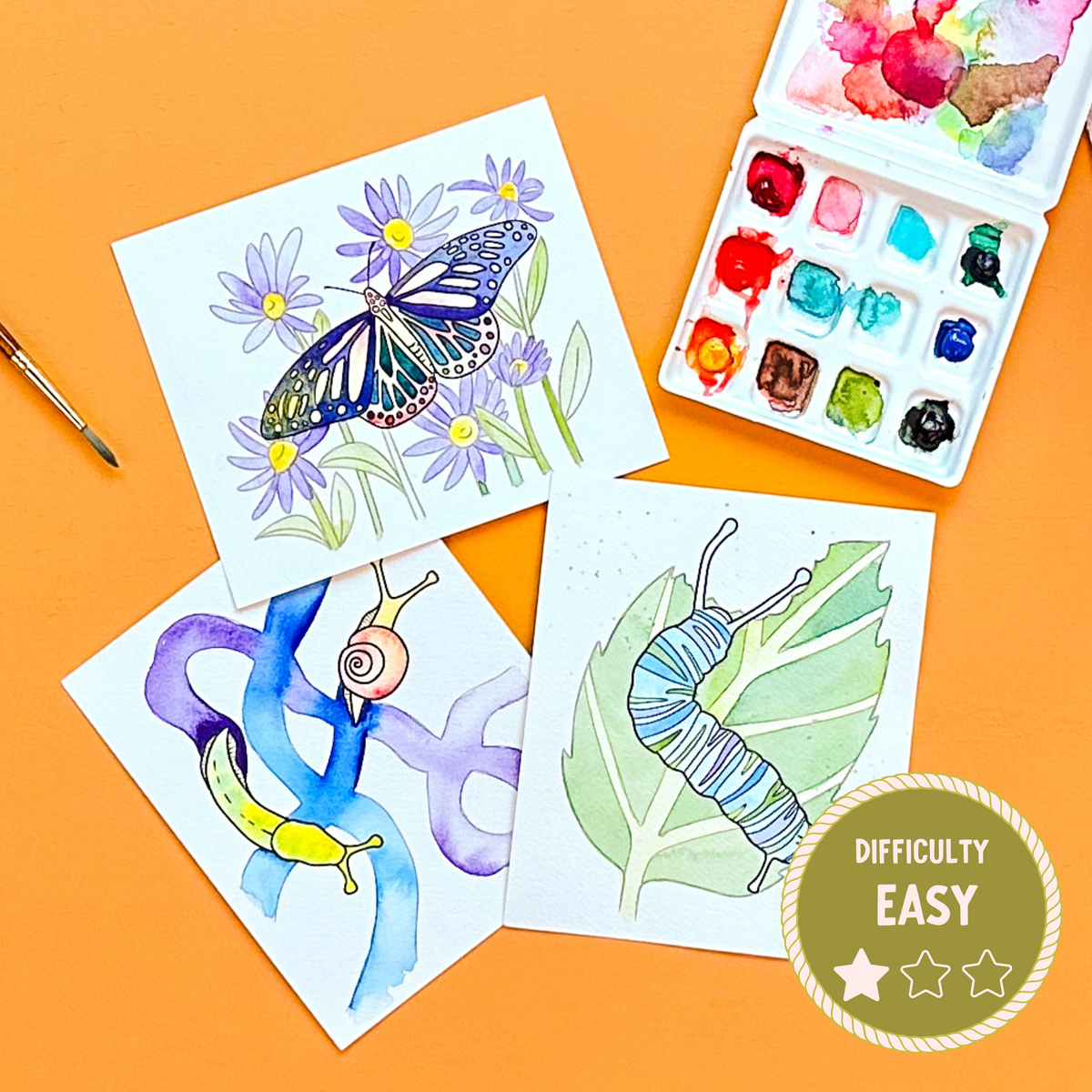 Bug Hikes Mini Watercolor Painting Kit
