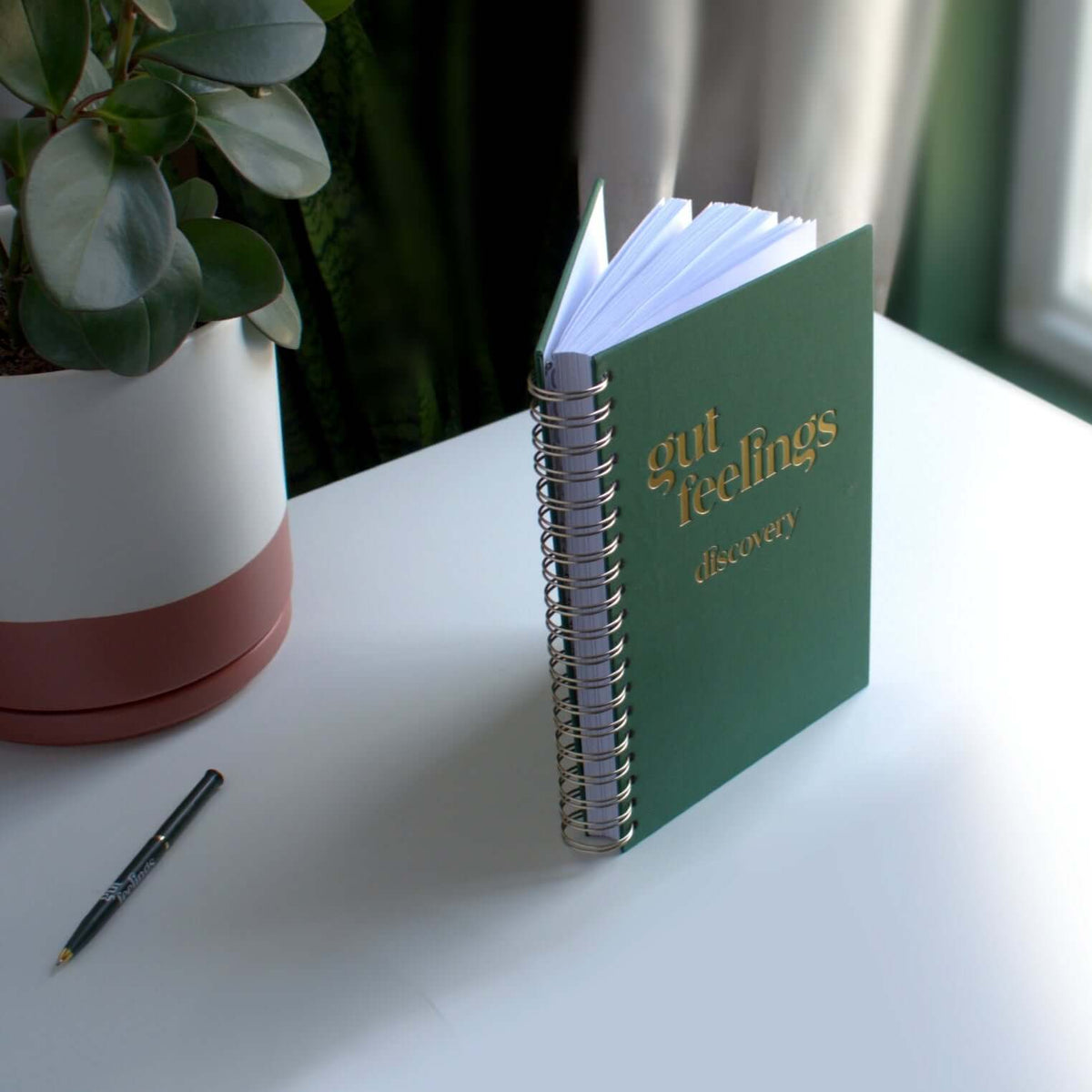 Discovery Journal | 6-Week Guided Food & Feelings Journal