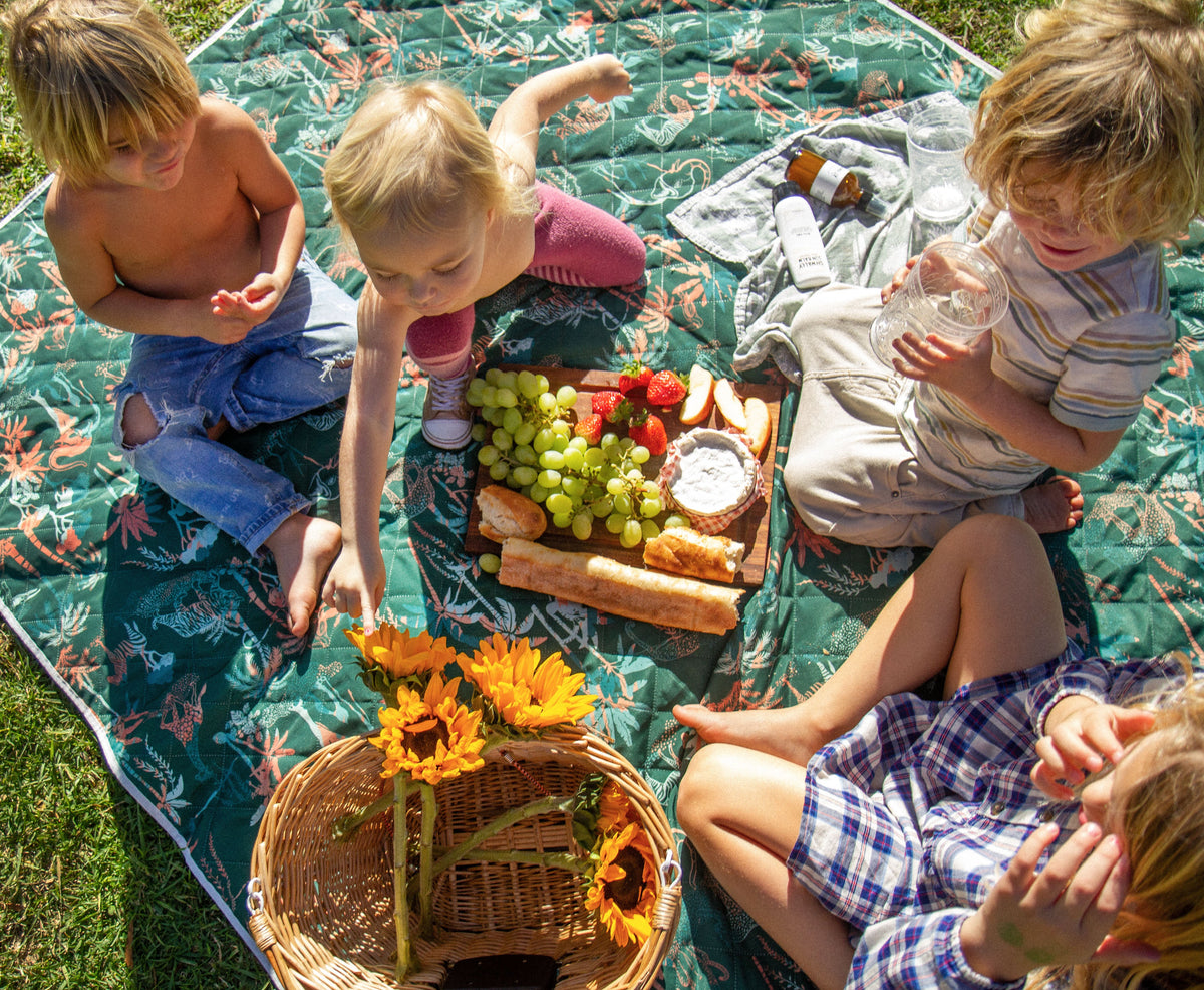 Shwally Cushioned Picnic Blanket