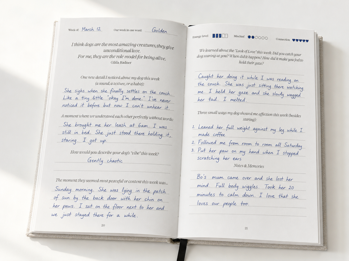My Dog & Me Journal | 52 Weeks of Guided Pages
