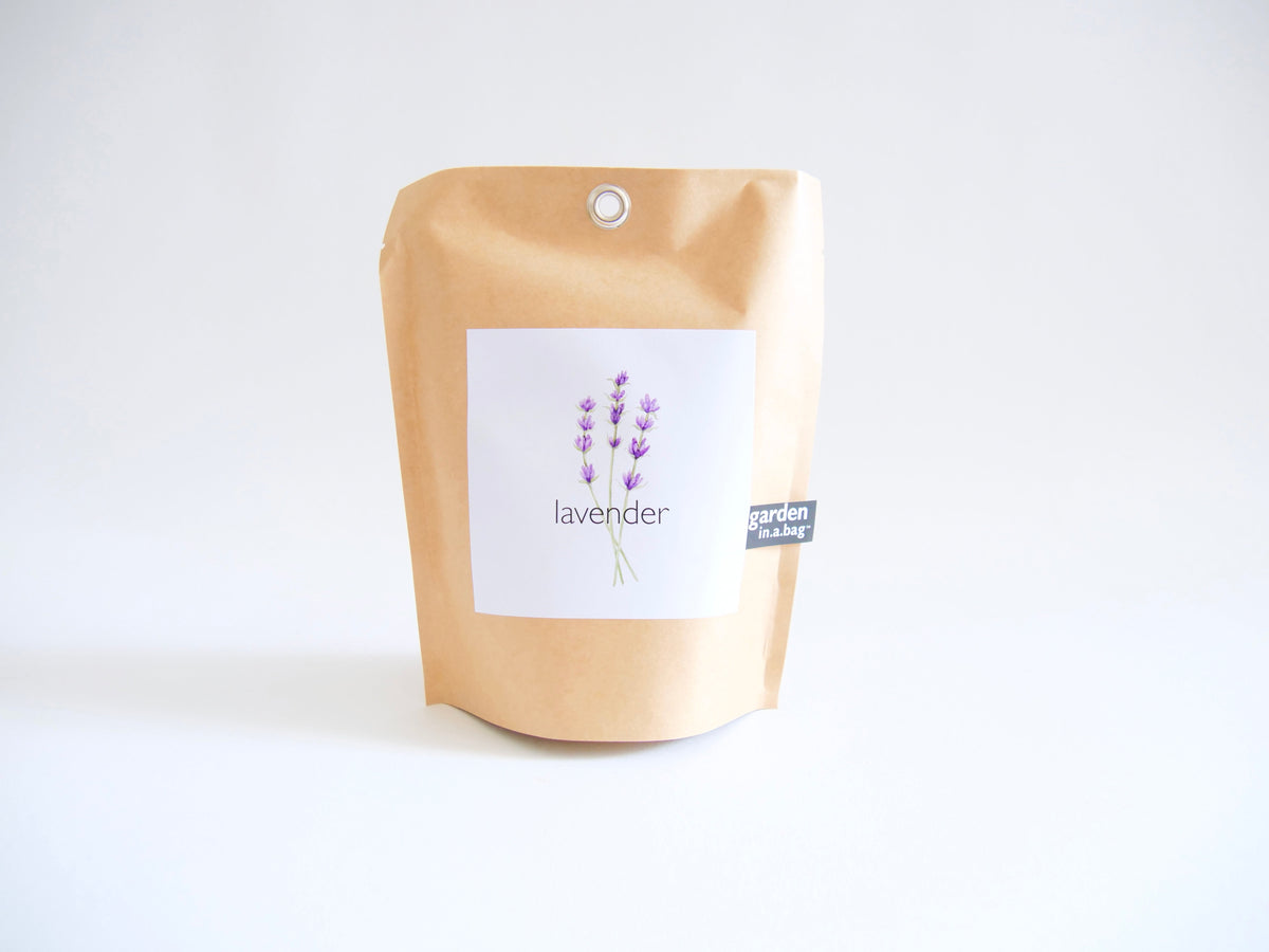 Get Growing Garden in a Bag Kit with Mindfulness Journal