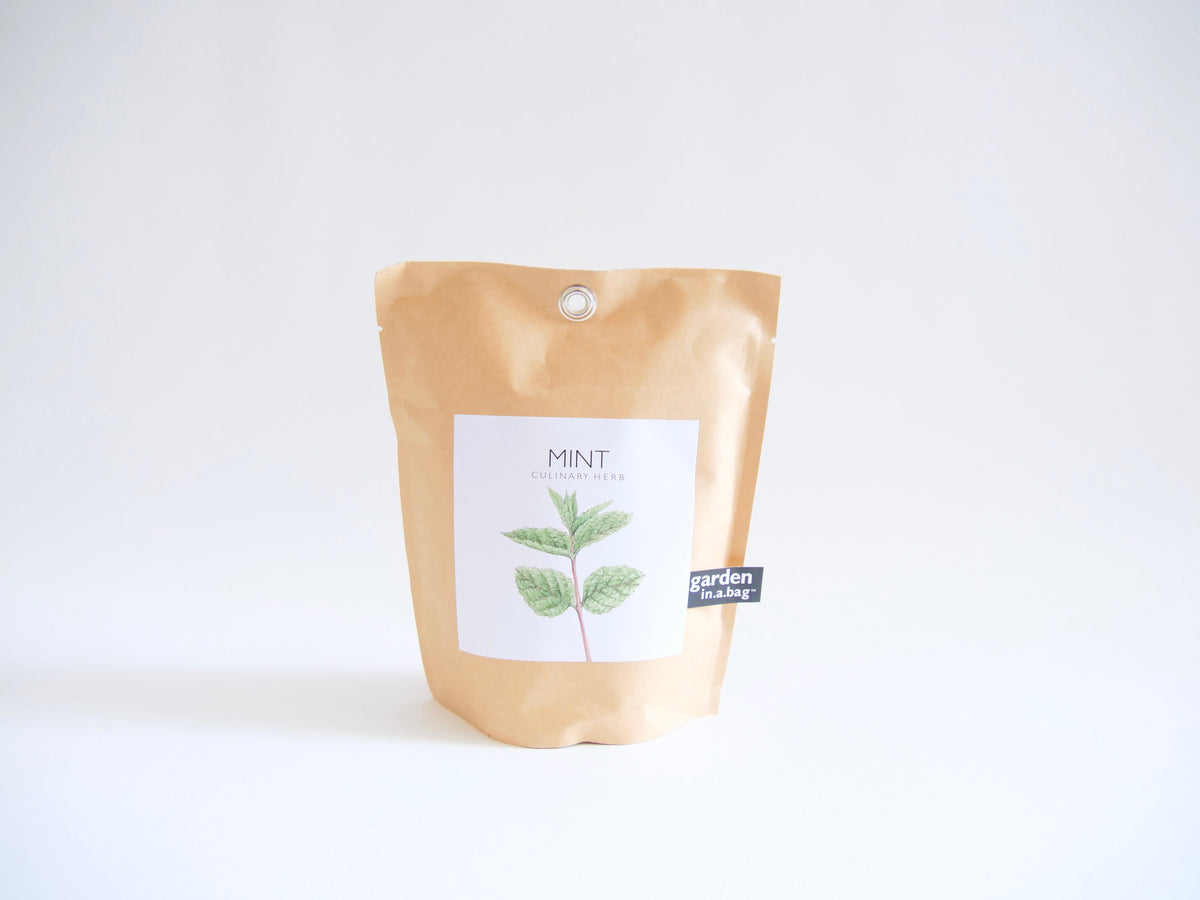 Get Growing Garden in a Bag Kit with Mindfulness Journal