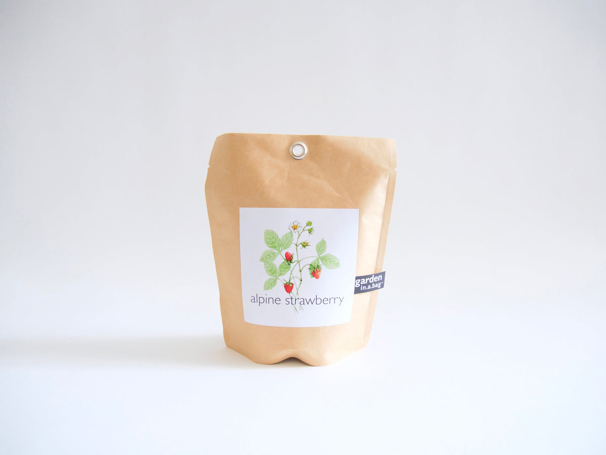 Get Growing Garden in a Bag Kit with Mindfulness Journal