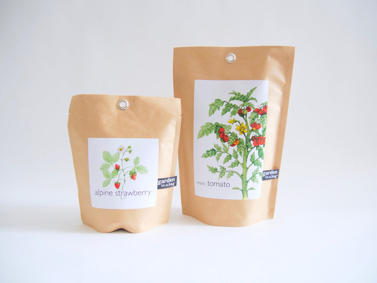 Get Growing Garden in a Bag Kit with Mindfulness Journal
