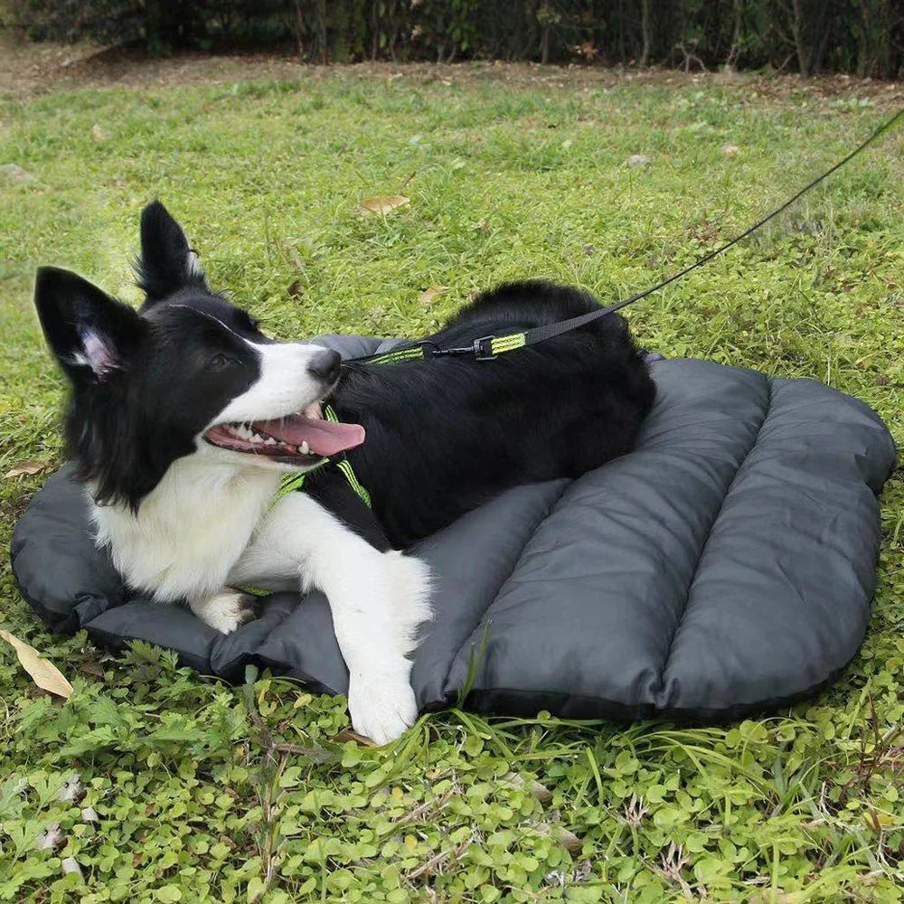 Waterproof Travel Mat for Dogs