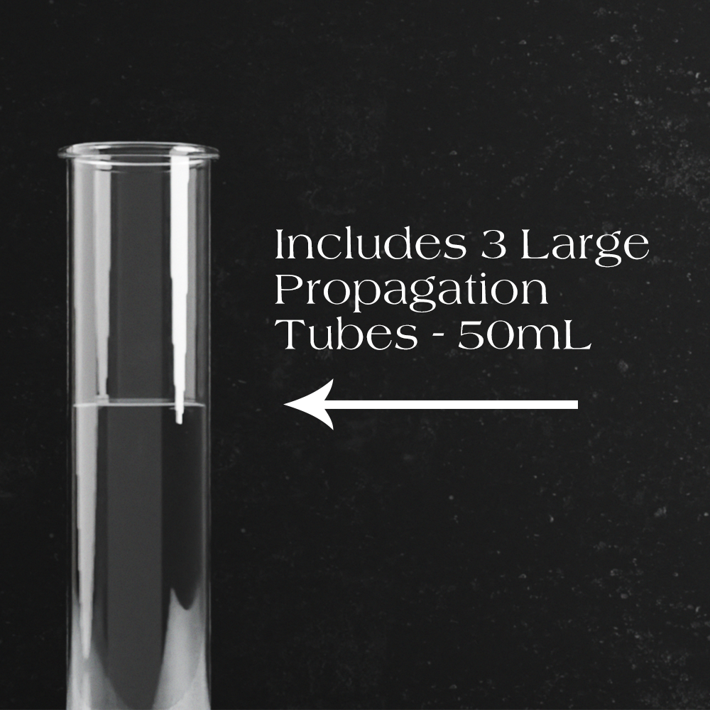 Dynamic Propagation Station | Three Glass Tubes | Made in Texas