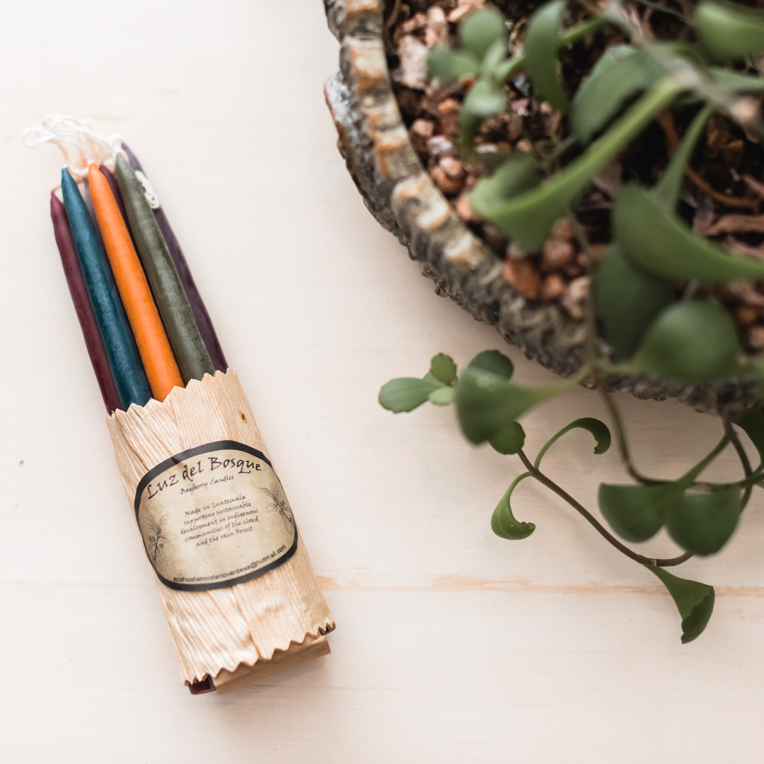 Hand-Dipped Myrtle Wax Candles | Set of 10
