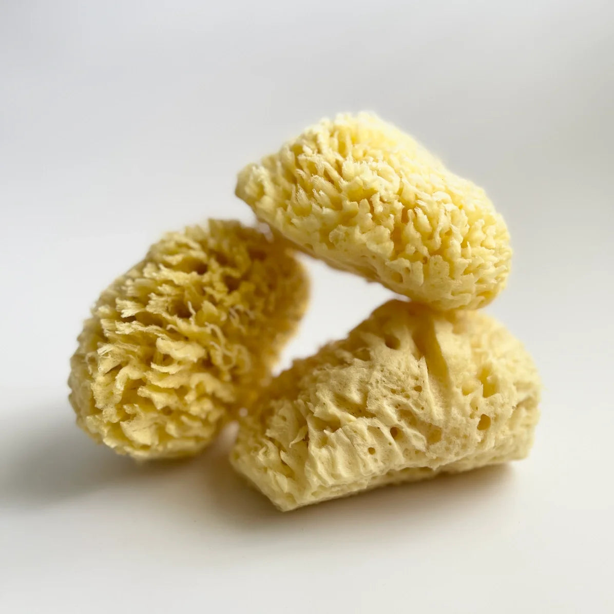 Natural Sea Sponge for Bath & Shower