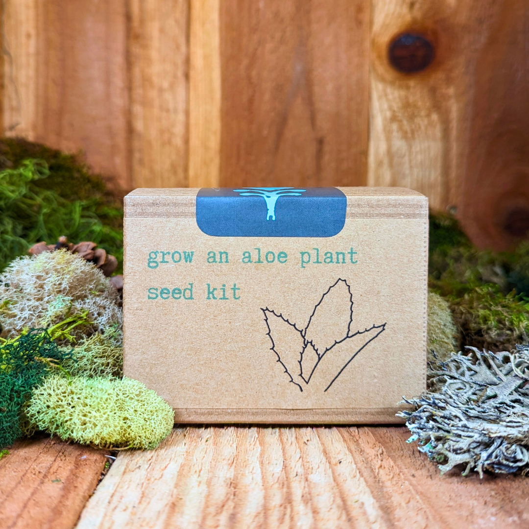 Aloe Plant Grow from Seed Kit