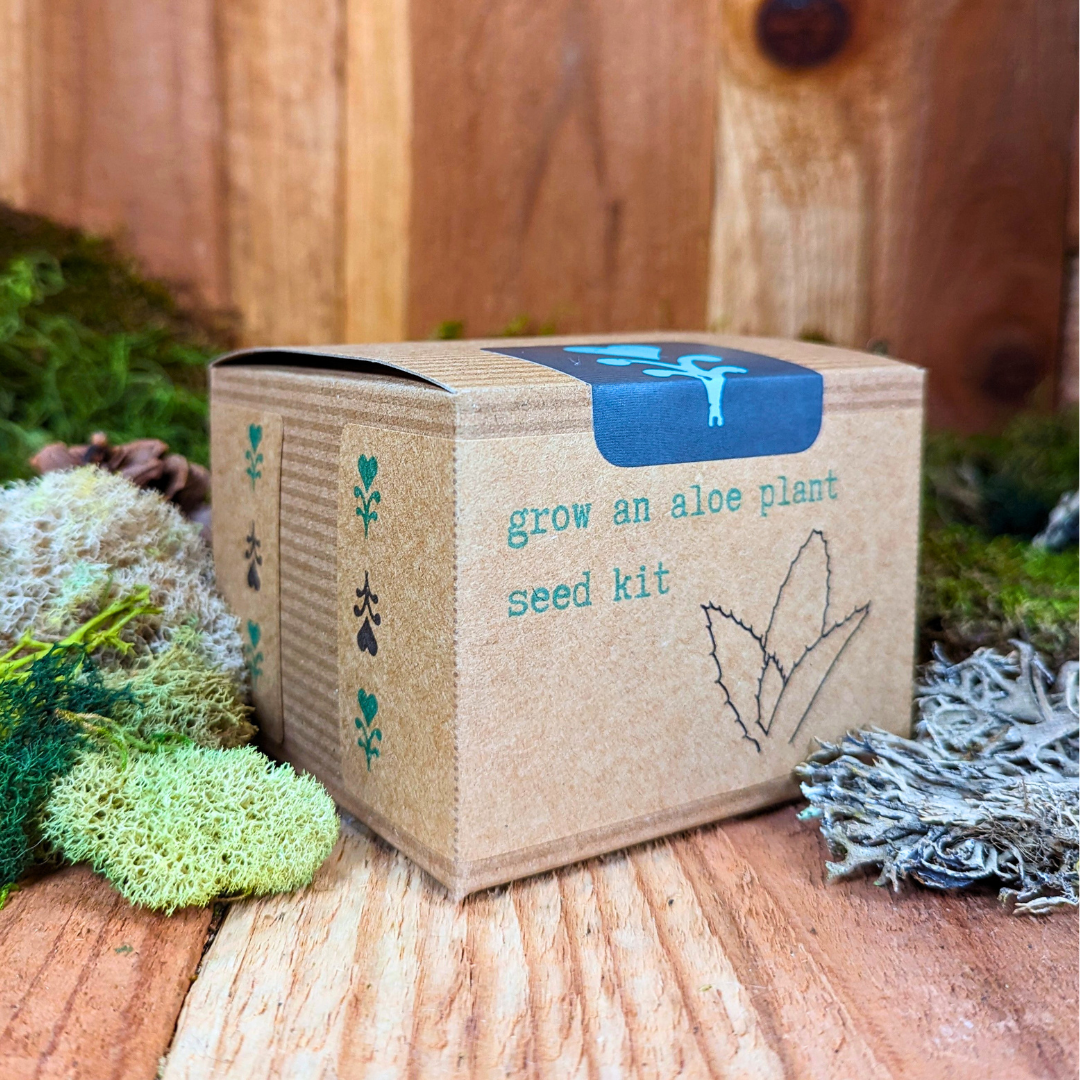Aloe Plant Grow from Seed Kit