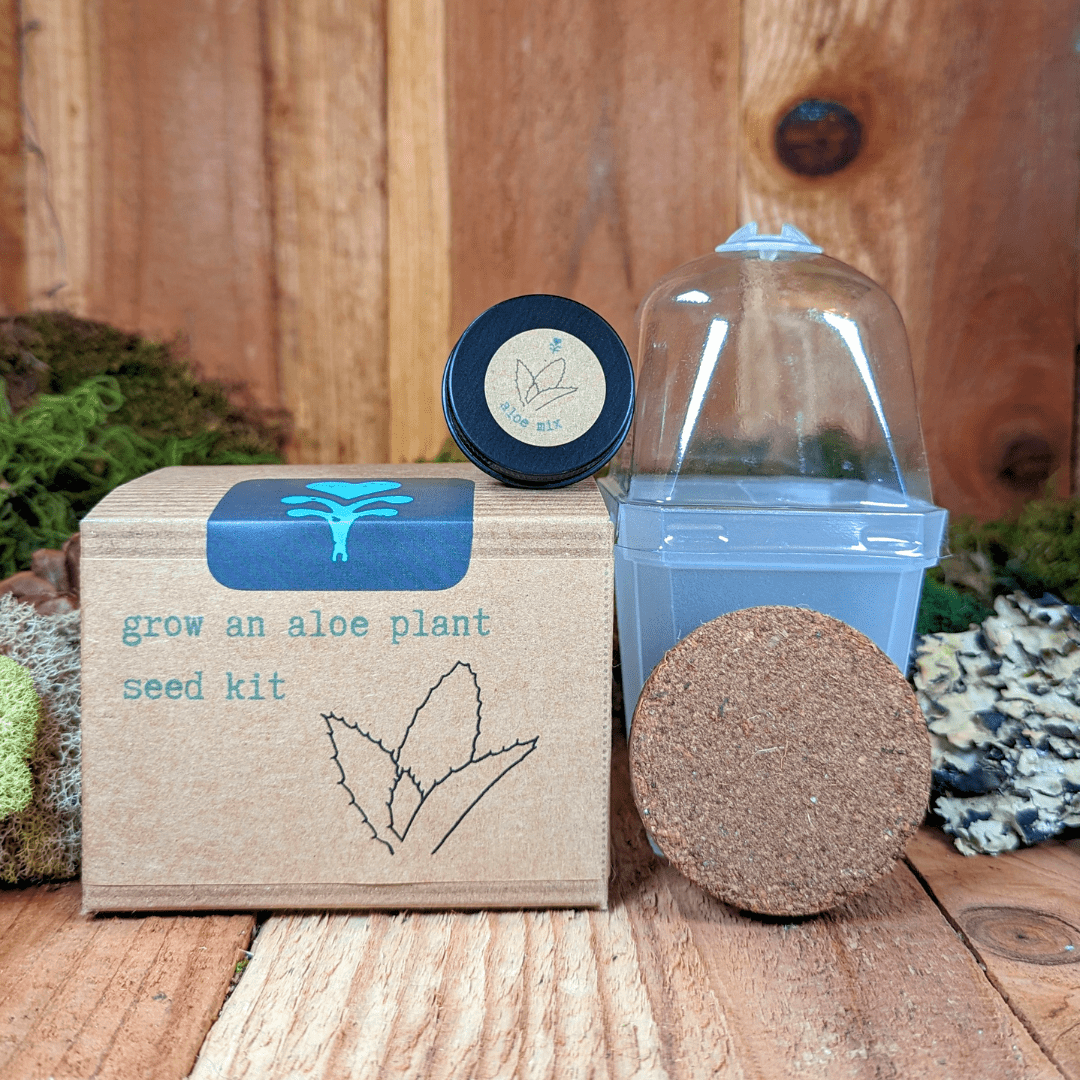 Aloe Plant Grow from Seed Kit