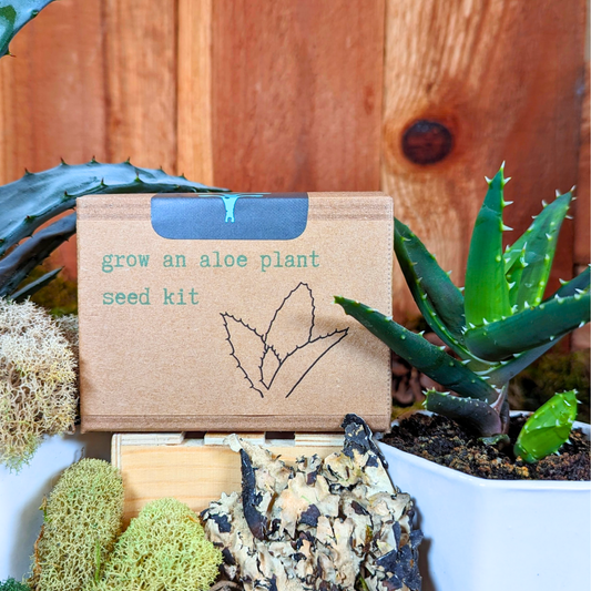 Aloe Plant Grow from Seed Kit