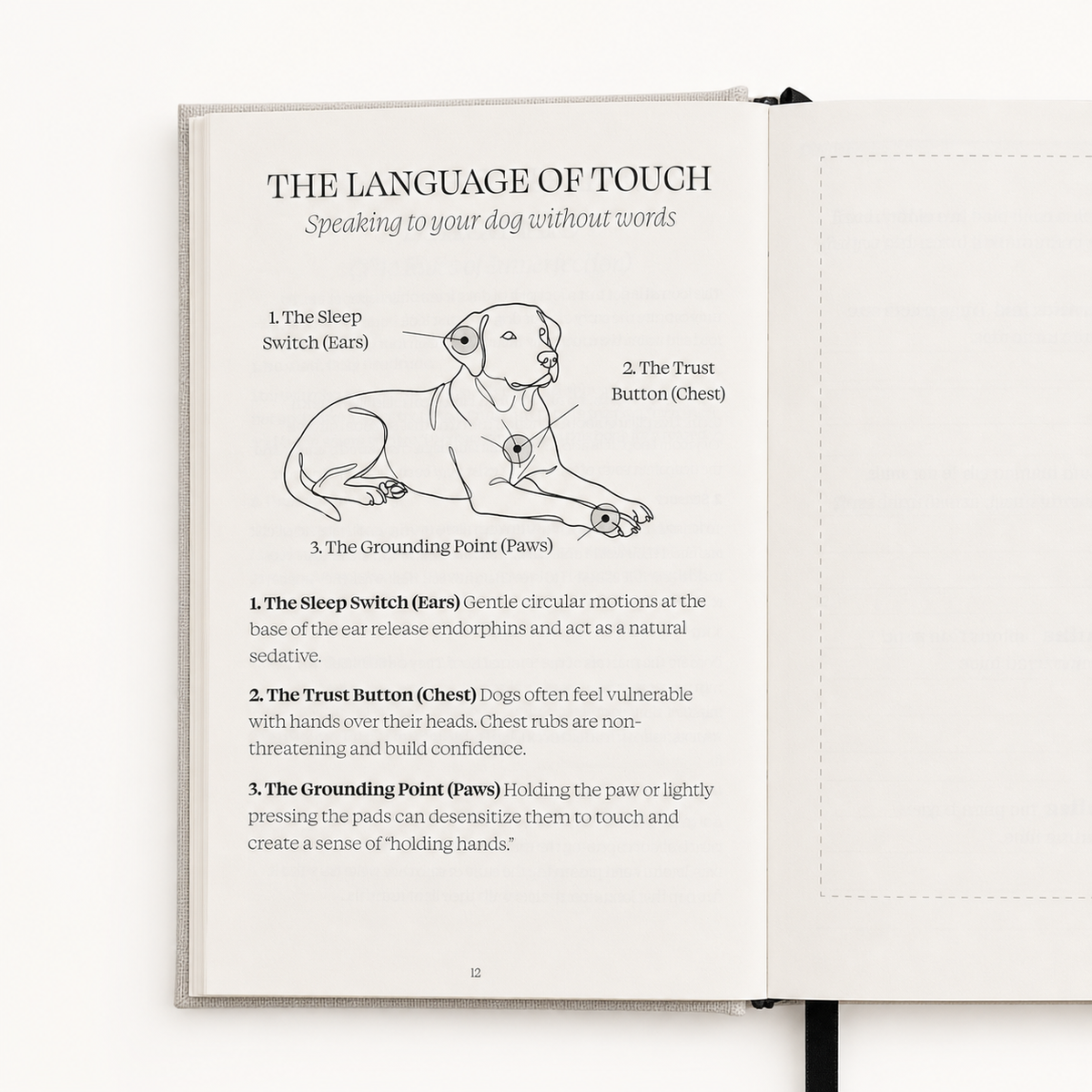 My Dog & Me Journal | 52 Weeks of Guided Pages
